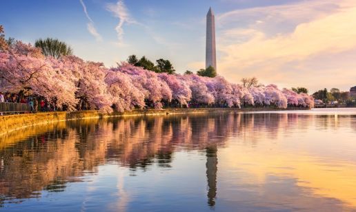 The Road to E-Invoicing Mandate in the United States – Part Two